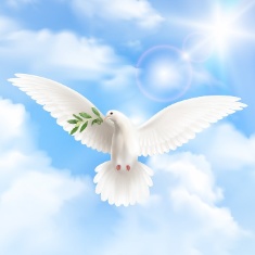 gnadengaben-heiliger-geist