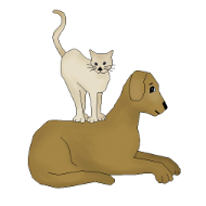 dog-and-cat